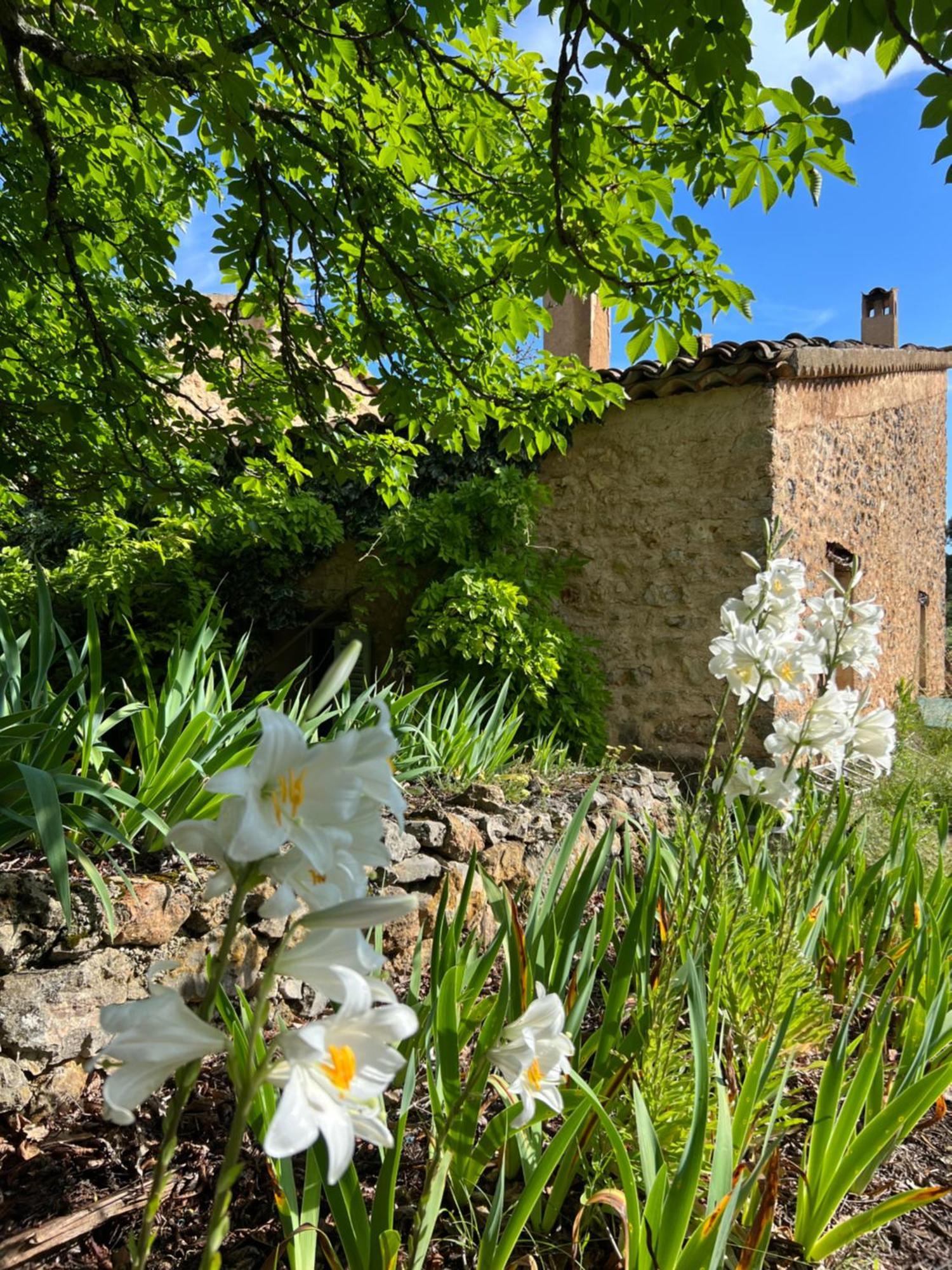 Charmant Appartement Independant Au Sein D'Un Mas Provencal Опс Екстер'єр фото